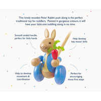 *Pre-Order* Orange Tree Toys Peter Rabbit™ Push Along